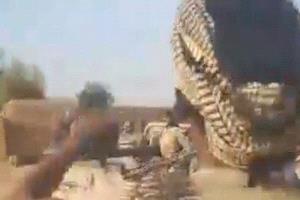 “تصاعد التمرد في مالي يضغط على المجلس العسكري وسط توسع نفوذ الجماعات المسلحة”
