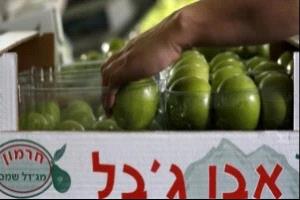 قطر ترحب بحظر أيرلندا استيراد منتجات المستوطنات الإسرائيلية