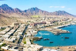 كييف تتعرض لقصف واسع يخلّف عشرات القتلى ويجدد دعوات أوكرانية لتعزيز الدفاعات الجوية
