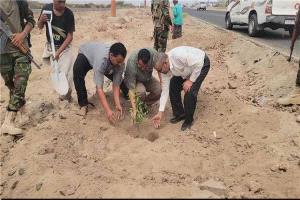 تدشين حملة لتشجير الطريق العام في مديرية البريقة بعدن