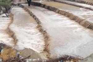 يافع تدعو لإنقاذ المدرجات الزراعية وإعادة دورها في حفظ المياه ودعم الأمن الغذائي