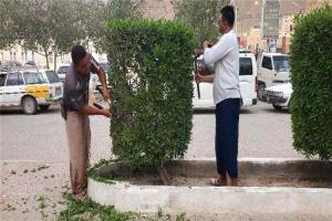 لإبراز مظهرها الحضاري.. حملة لتقليم الأشجار وصيانة المساحات الخضراء بالشارع الرئيسي في القطن