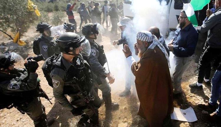 الأمم المتحدة: عنف المستوطنين في فلسطين بلغ مستويات غير مسبوقة