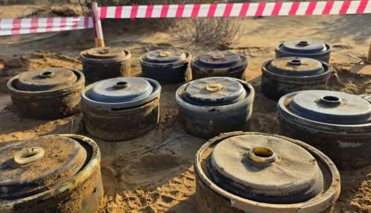 مشروع مسام ينزع 6323 لغماً من مخلفات الحوثيين في المناطق اليمنية المحررة خلال مايو
