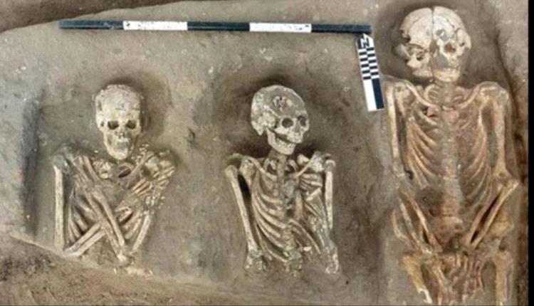 اكتشاف جبانة أثرية من العصر اليوناني الروماني تكشف أسرار الحياة القديمة في دلتا مصر