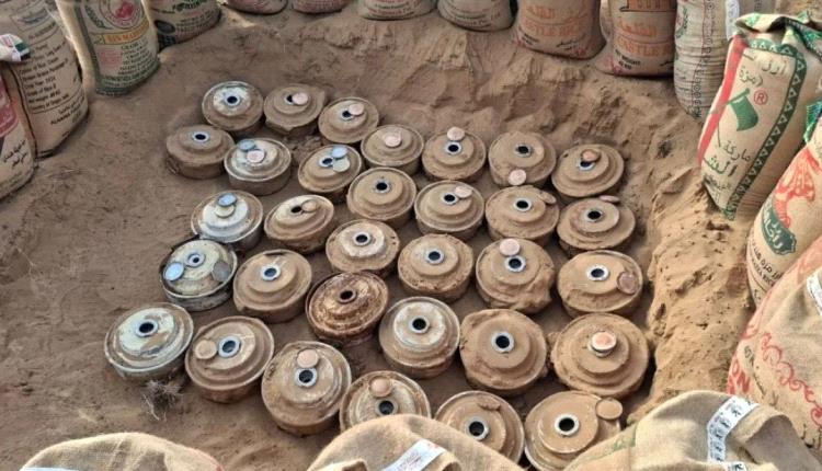 مشروع مسام نزع 4622 لغماً من مخلفات مليشيا الحوثي في المناطق المحررة باليمن خلال يونيو الجاري