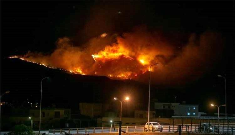 سيطرة الدفاع المدني على حريق واسع في غابات جبل ببوش شمال غرب تونس بعد تدخلات مكثفة