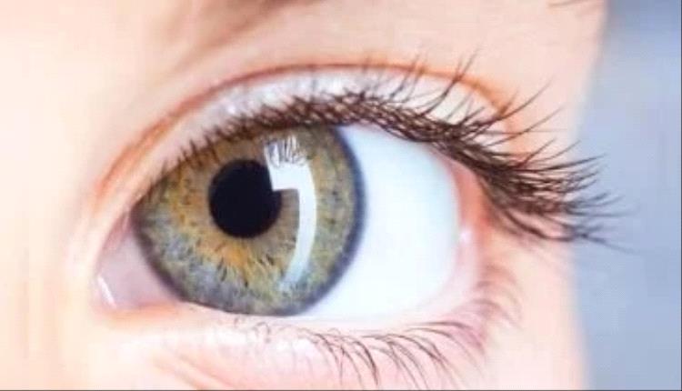 10 نصائح مهمة للوقاية من التهاب الملتحمة وتهيج العين فى الصيف