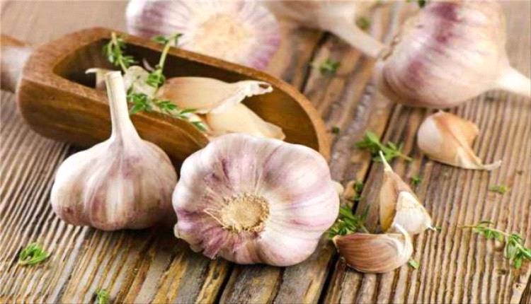 خبراء: تناول فص ثوم يومياً قد يعزز صحة القلب والمناعة ويؤثر تدريجياً على الجسم