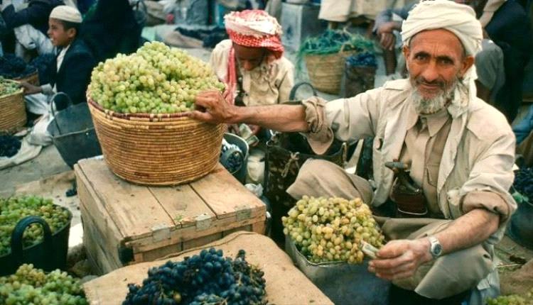 العنب اليمني.. محصول تاريخي يواجه الحرب والمناخ وفرص تصديره تتراجع