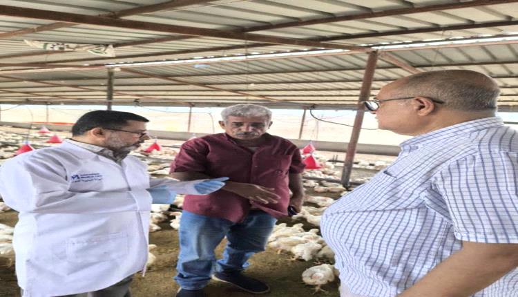 فحص بيطري في عدن ولحج: لا إصابات بفيروس النيوكاسل والدواجن سليمة