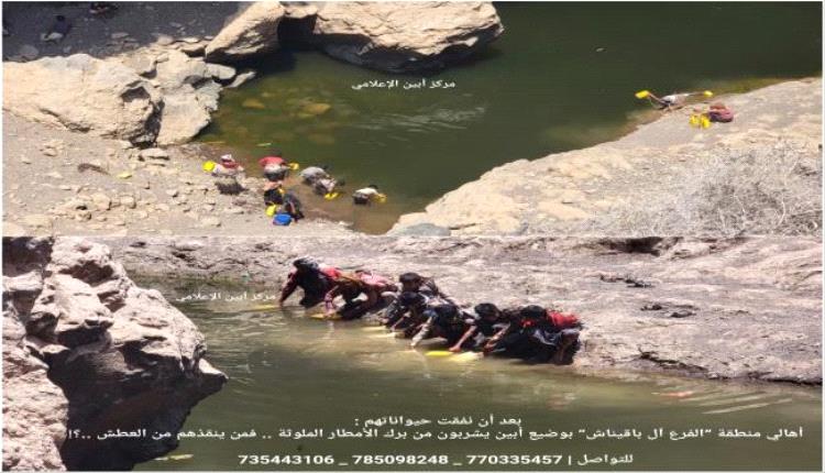 أهالي “الفرع” بأبين يطلقون مناشدة عاجلة لإنقاذهم من أزمة مياه خانقة
