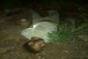 العثور على جثة مجهولة الهوية في جبل حبشي غرب تعز اليمنية