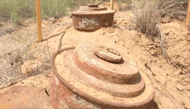 مسام" يزيل 1263 لغماً خلال أسبوع ويواصل تطهير الأراضي اليمنية