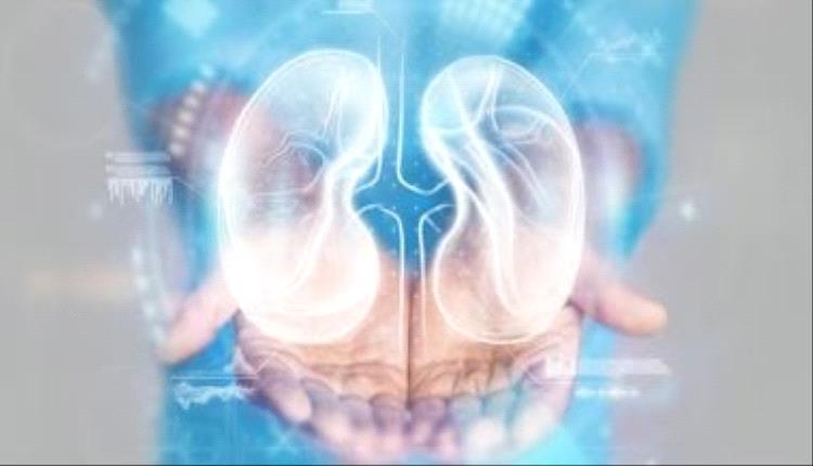 مشروبات طبيعية تدعم صحة الكلى وتطرد السموم