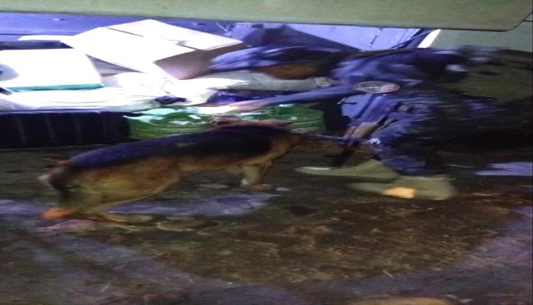 أبين تشدد الرقابة.. الكلاب البوليسية في مواجهة المخدرات