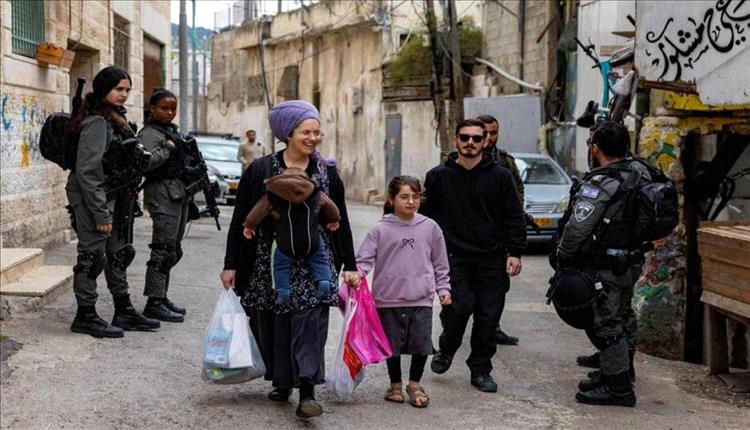 تهجير صامت في سلوان: صراع الملكية يُقتلع من جذوره