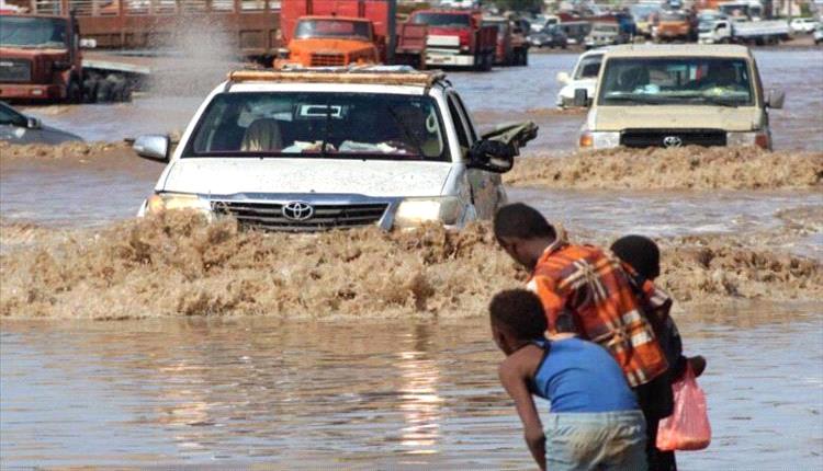 الأمطار تهدد الزراعة والماشية في اليمن