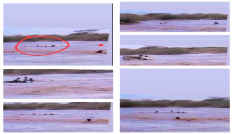 شجاعة تنقذ أرواحًا: عبدالرحمن الكشميمي يحوّل السيول إلى قصة بطولة