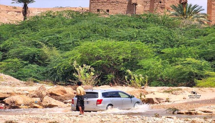 شبوة تواجه السيول بسدود وحواجز لتحصين المياه والبنية التحتية