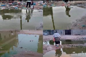 شبوة تنفذ حملة رش لمكافحة البعوض بعد الأمطار الأخيرة