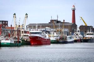 نصف أسطول هولندا يتوقف عن الصيد بسبب ارتفاع الوقود