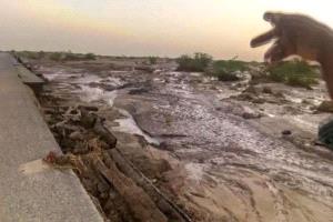 سيول تعز تحصد ضحايا جديدة: وفيات بعد جرف في وادي الأثبوت