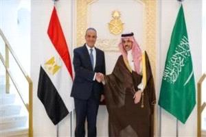 الرياض والقاهرة: خفض التصعيد وحماية الأمن الإقليمي