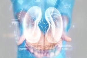 مشروبات طبيعية تدعم صحة الكلى وتطرد السموم