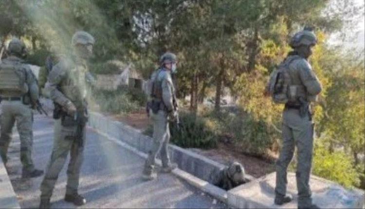 مقاومة الجدار الفلسطينية: 1637 اعتداء نفذها جيش الاحتلال والمستوطنون في أبريل
