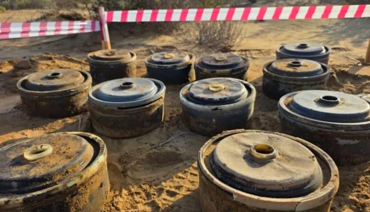 «مسام» يعلن انتزاع 839 لغماً من مخلفات الحوثيين في المناطق اليمنية المحررة خلال أسبوع