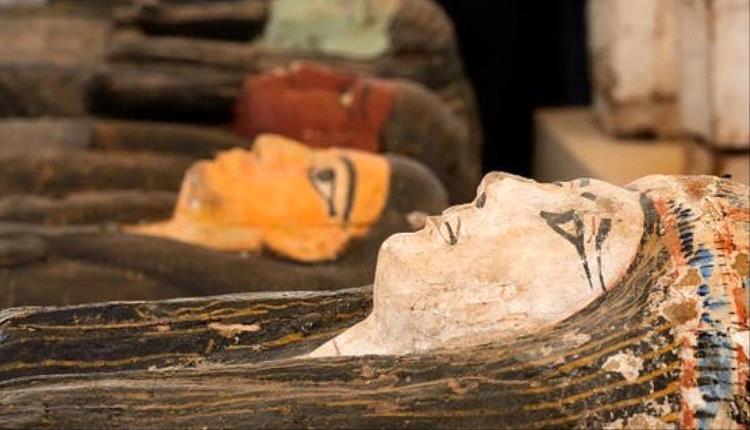 حواس: قانون فرنسا الجديد لا يشمل مصر رغم الإشادة به