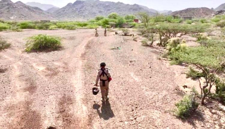 مشروع “مسام” يزيل 839 لغماً وذخيرة غير منفجرة خلال أسبوع في اليمن