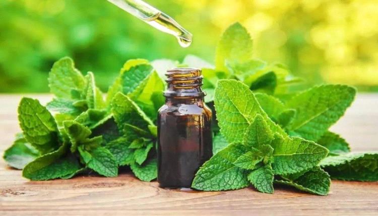 زيت النعناع يساعد في السيطرة على ضغط الدم