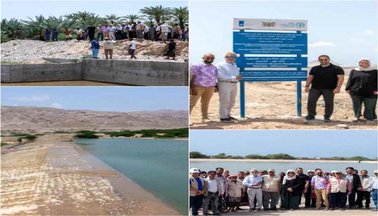 هولندا تدعم الأمن الغذائي والتنمية المستدامة في وادي حجر بحضرموت عبر مشاريع إنسانية