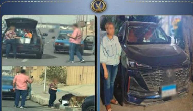 جدل واسع في مصر بعد توقيف سيدة بسبب إطعام الكلاب الضالة