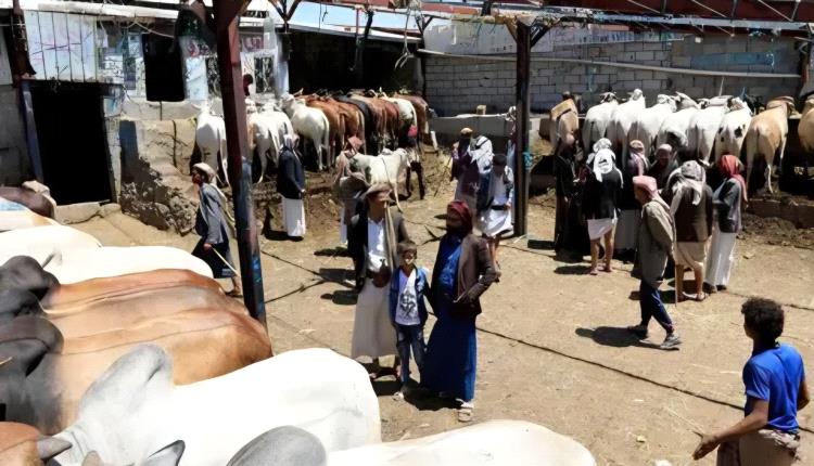 في اليمن.. الأضحية تتحول إلى حلم مؤجل والعيد يختنق تحت وطأة الغلاء