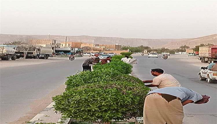 ضمن الاستعدادات لعيد الأضحى.. حملة لتقليم الأشجار وتحسين المظهر العام في القطن