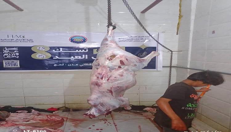 مبادرة إنسانية في عدن ولحج: توزيع أضاحي العيد لصالح ألف أسرة محتاجة