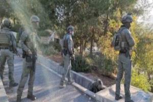 مقاومة الجدار الفلسطينية: 1637 اعتداء نفذها جيش الاحتلال والمستوطنون في أبريل
