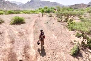 مشروع “مسام” يزيل 839 لغماً وذخيرة غير منفجرة خلال أسبوع في اليمن