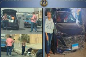 جدل واسع في مصر بعد توقيف سيدة بسبب إطعام الكلاب الضالة