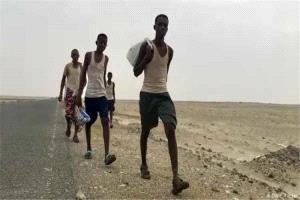 تقرير أممي: أكثر من 14 ألف مهاجر أفريقي دخلوا اليمن خلال أبريل رغم التحديات