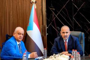 الشعيبي من الرياض: التمسك بإعلان عدن خيار ثابت في ذكراه التاسعة