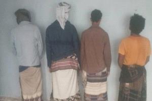 ضبط عصابة تفرض إتاوات غير قانونية على سائقي القواطر في أبين