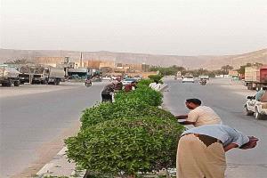 ضمن الاستعدادات لعيد الأضحى.. حملة لتقليم الأشجار وتحسين المظهر العام في القطن