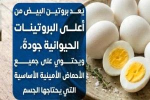 البيض من أغنى مصادر البروتين الكامل ويدعم بناء الجسم