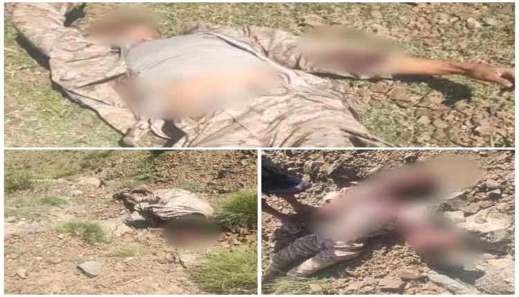 معارك عنيفة في عدة جبهات بتعز والقوات الحكومية تعلن خسائر كبيرة للحوثيين