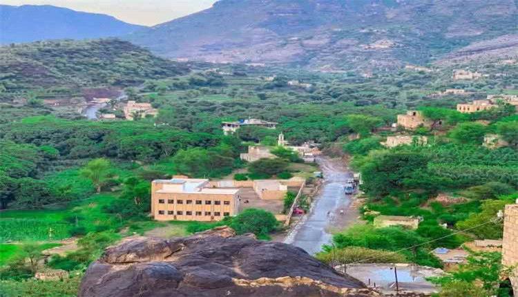 استشهاد رضيع عمره 14 يومًا وإصابة طفل بقصف حوثي على منطقة الضباب في تعز