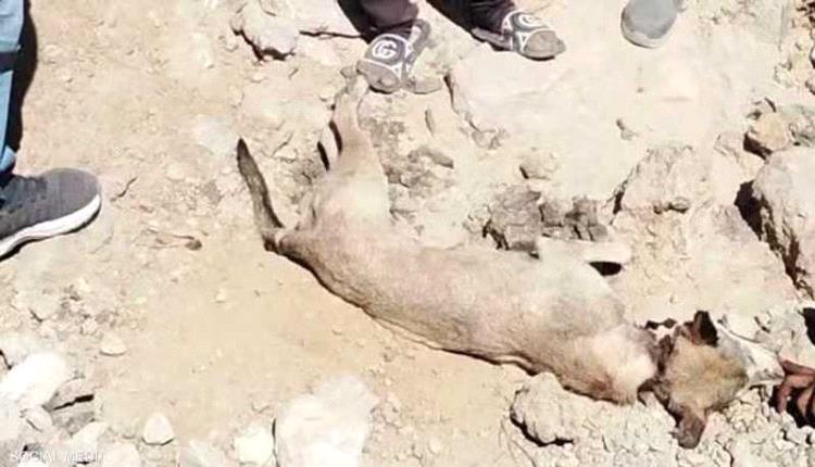 إسرائيل تهدد باغتيال خليل الحية.. وحماس تدين التصريحات